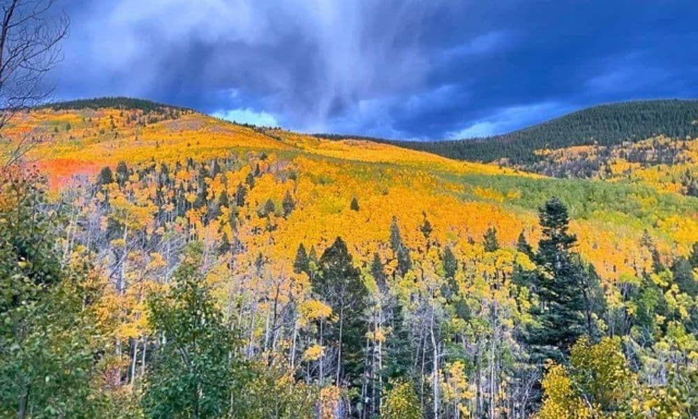 Golden aspen covered hillsides beneath a dramatic dark sky in Santa Fe, NM.