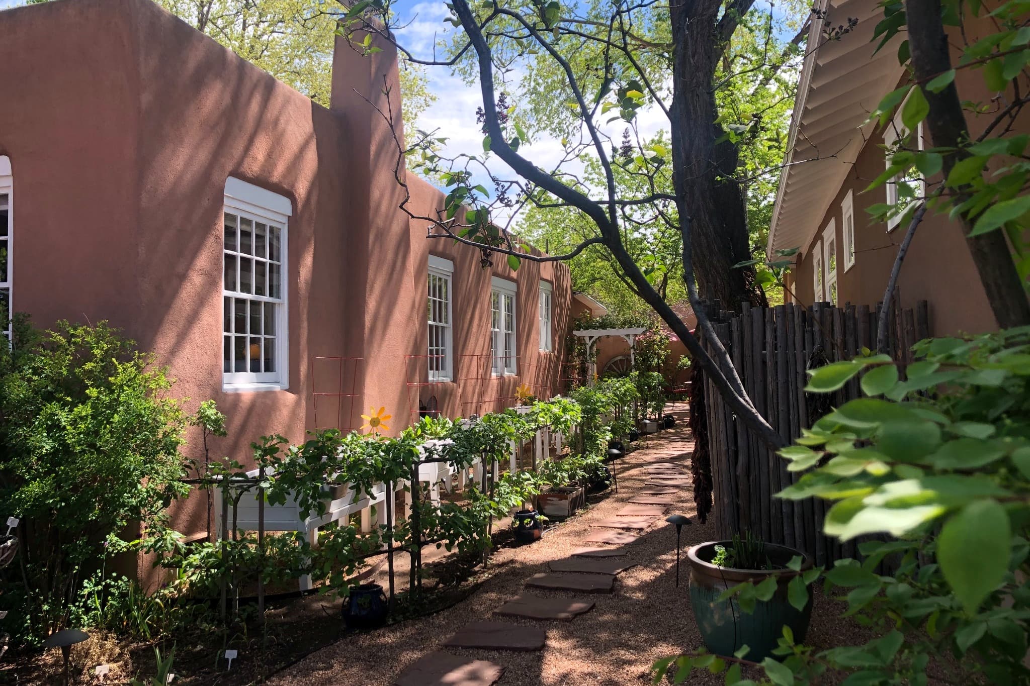 A narrow pathway lined with greenery leads between two adobe buildings under a blue sky.