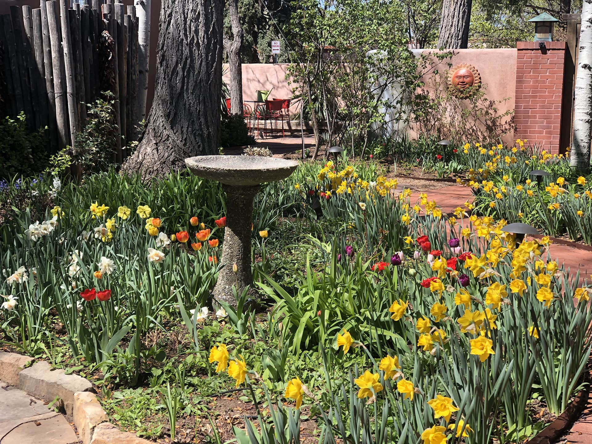 A vibrant garden filled with a variety of blooming flowers surrounding a stone birdbath.