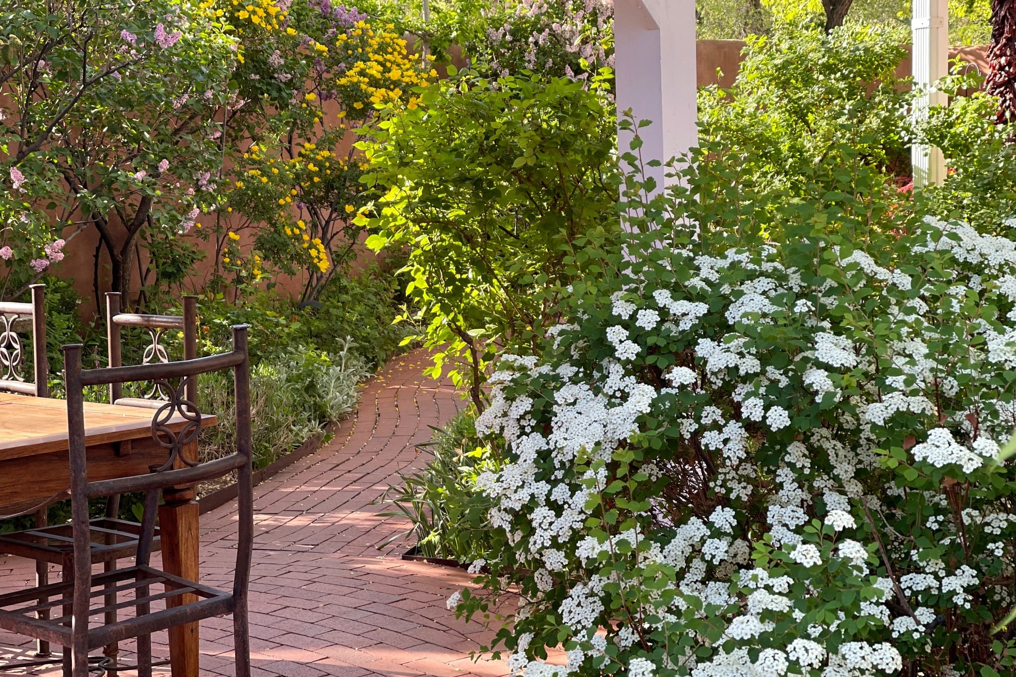 A sunny garden path lined with lush greenery and blooming white flowers leads to a wooden table and chairs.