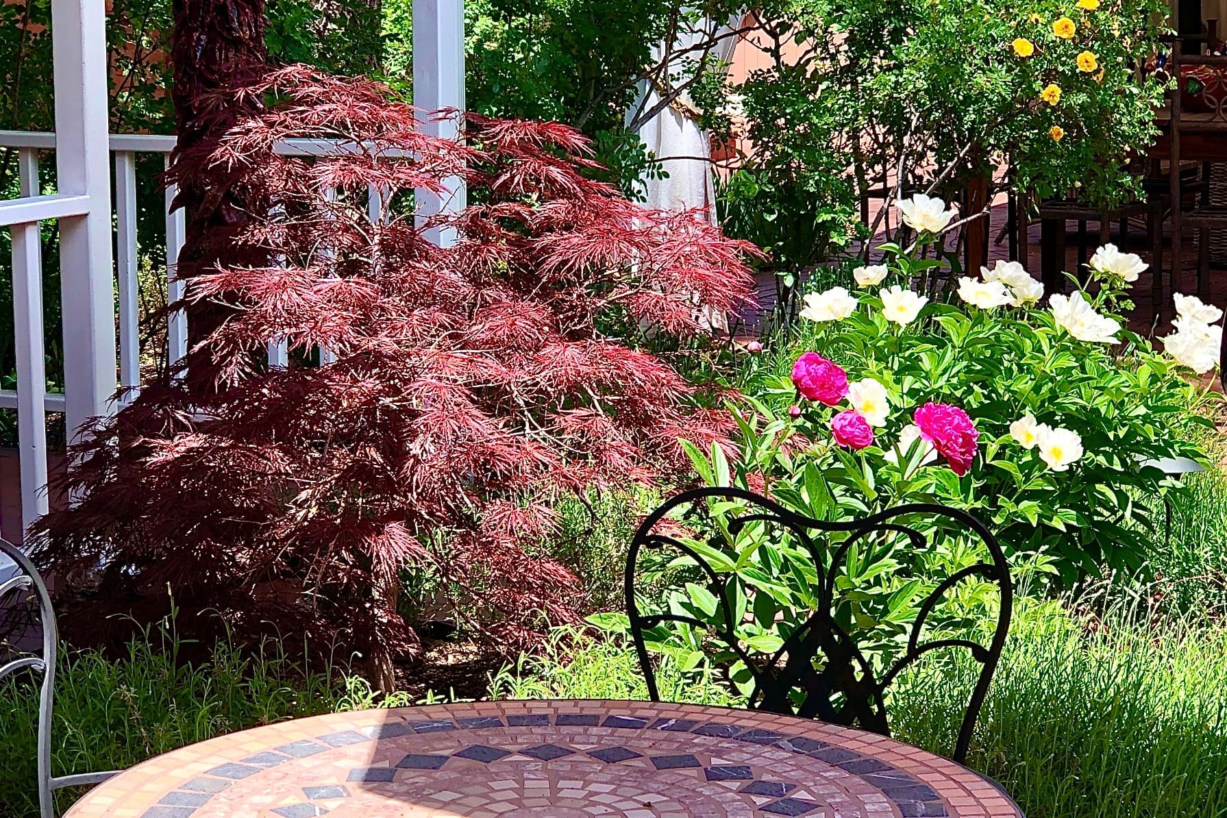 A peaceful garden scene featuring a mosaic table, a black wrought-iron chair, a red maple tree, and colorful blooming flowers.